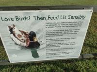 /home//u458753944/public_html/sourcegallery//other/uk 2023/london/IMG_20230921_083326573_HDR.jpg